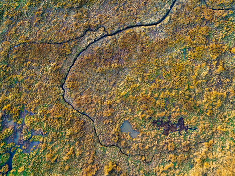 Abstract aerial landscape ii