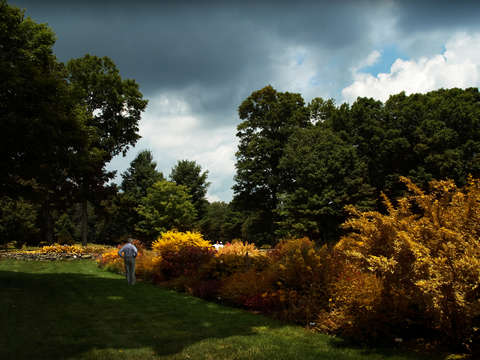The gardener