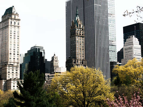 4 new york is not dead