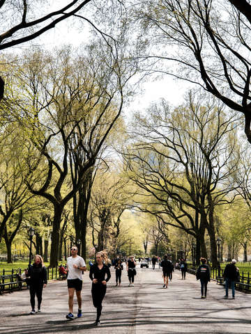 14 new york is not dead