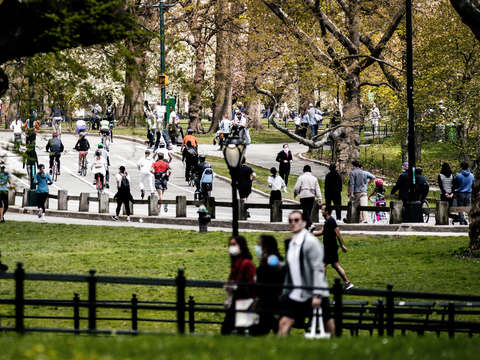 19 new york is not dead