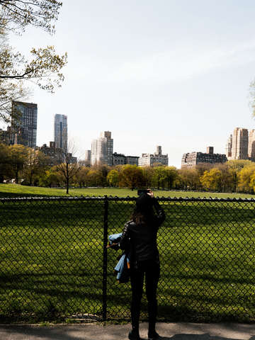 37 new york is not dead