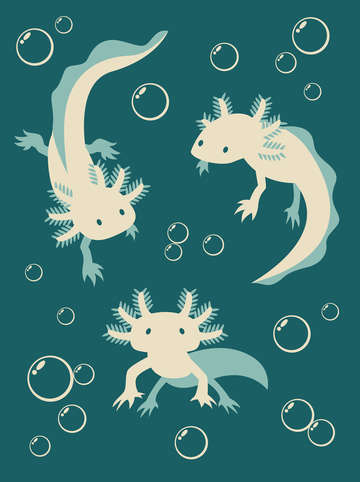 Relaxolotl teal