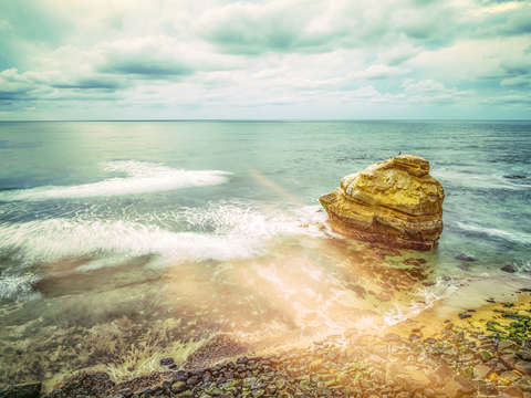 Bird rock retro