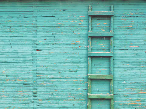 The green ladder