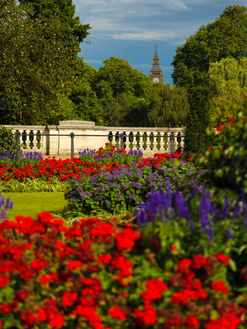 Big Ben from Buckingham