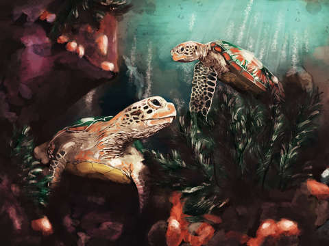 Turtle tango