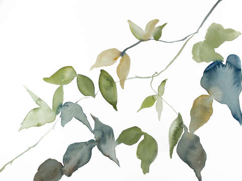 Branch study no 21