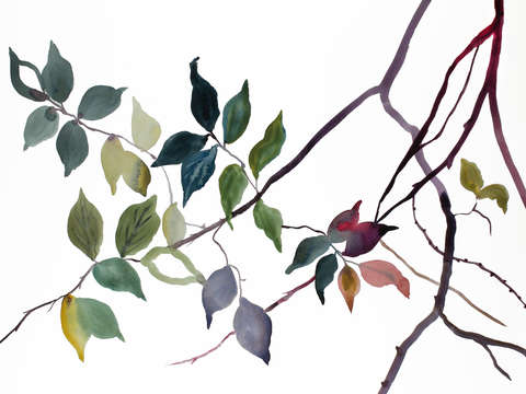 Branch study no 25