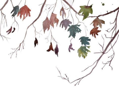 Branch study no 30