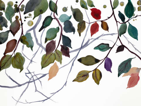Branch study no 31
