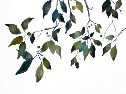Branch study no 32
