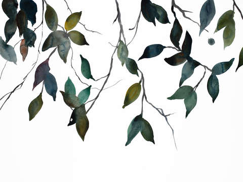 Branch study no 33
