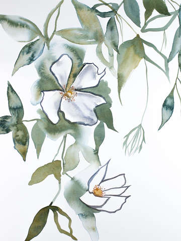 Cherry blossom no 13