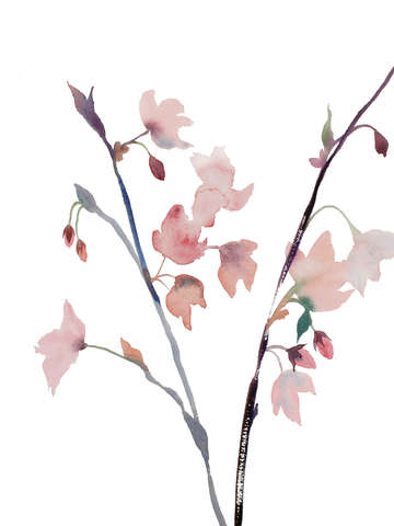 Cherry blossom no 24