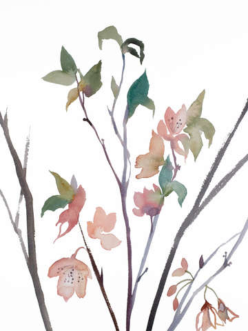 Cherry blossom no 26