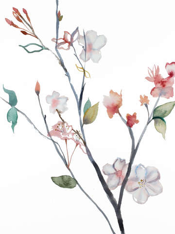 Cherry blossom no 28