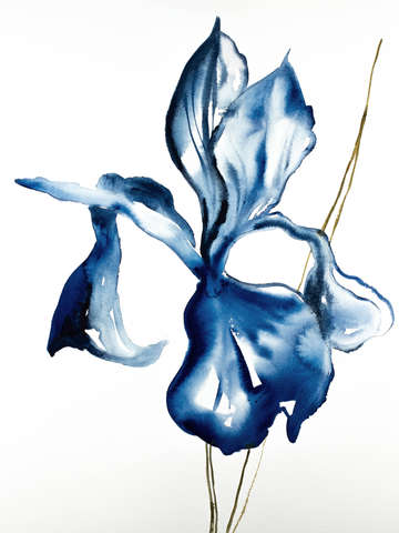 Iris no 92