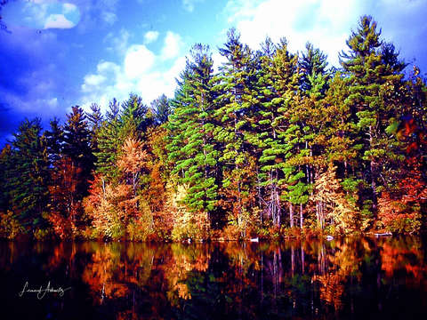 The beauty of fall