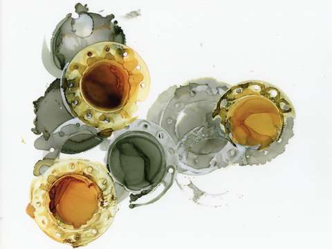 Gears 2