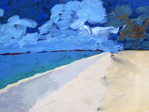Mauis baldwin beach