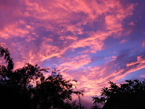 Pink sky 4