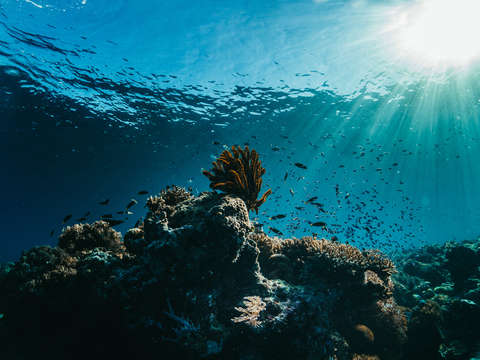 Coral reef underwater sunburst
