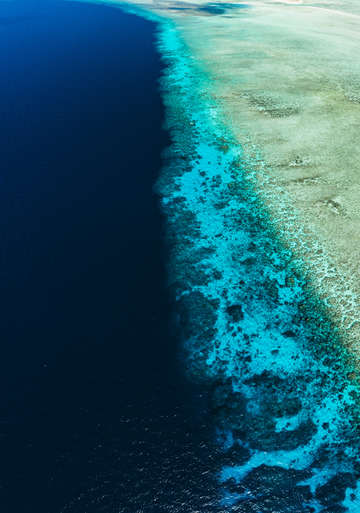 Aerial view of coral reef