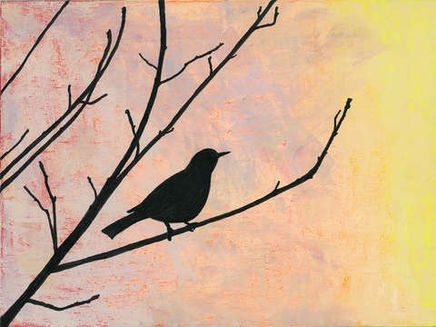 Sunrise song