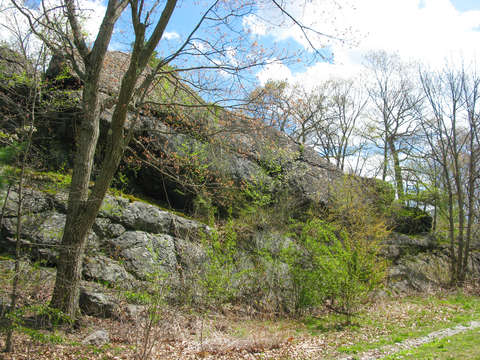 Franklin park boulder