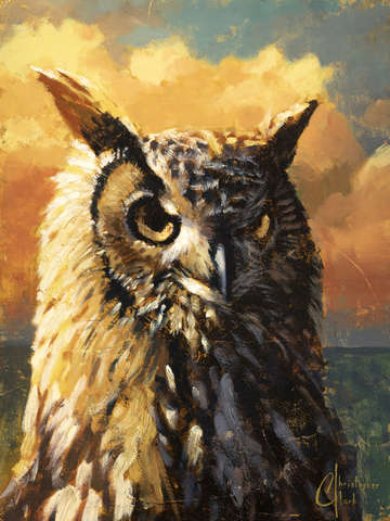 Watchful eyes