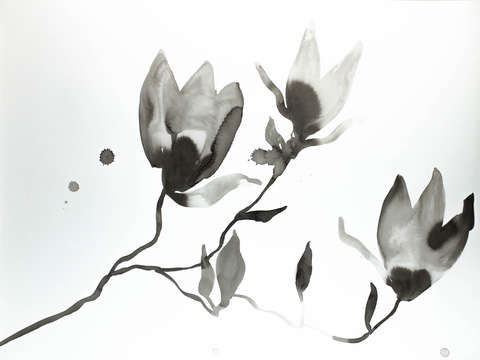 Magnolia no 17