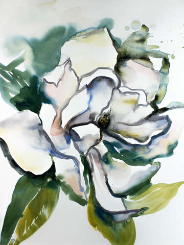 Magnolia no 27