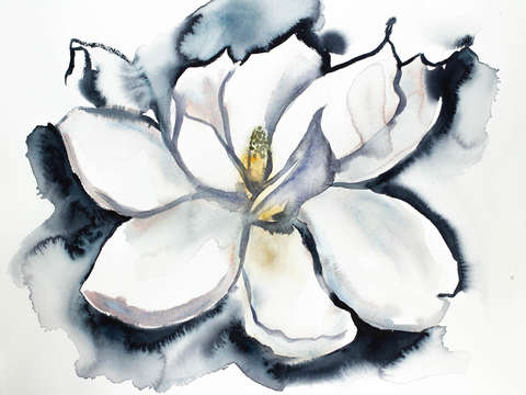 Magnolia no 29