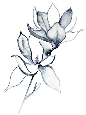 Magnolia no 32