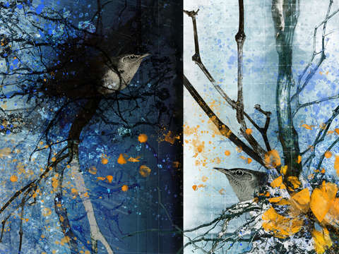 Lost spring 2