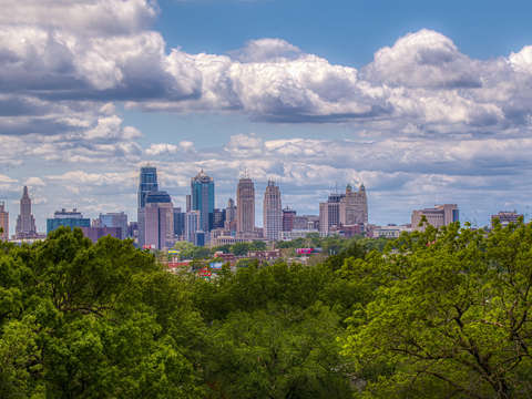 Urban forest 2