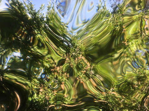 Through the glass 1 2