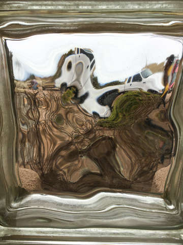 Through the glass 6