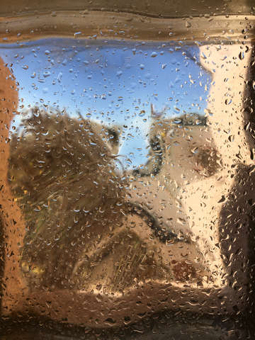 Through the glass 11