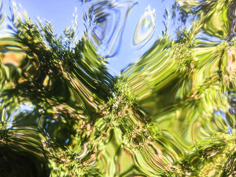Through the glass 13