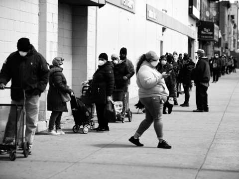 3 new york is not dumb