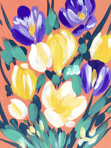 Spring crocus