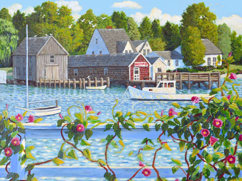 Morning glory cove