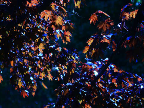 A color splash