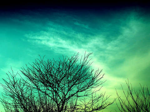 Shades of blue 2