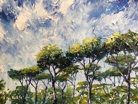 Trees at villa borghese rome