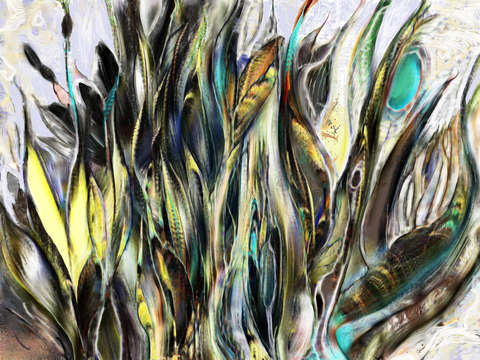 Abundance 6