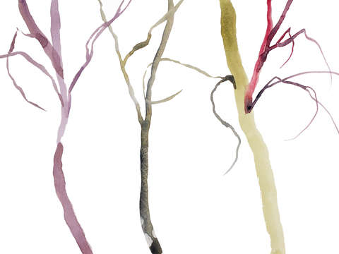 Tree study no 37