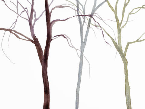 Tree study no 38
